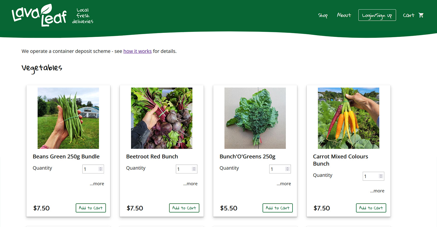 Lava Leaf Rotorua Website Design - shop app
