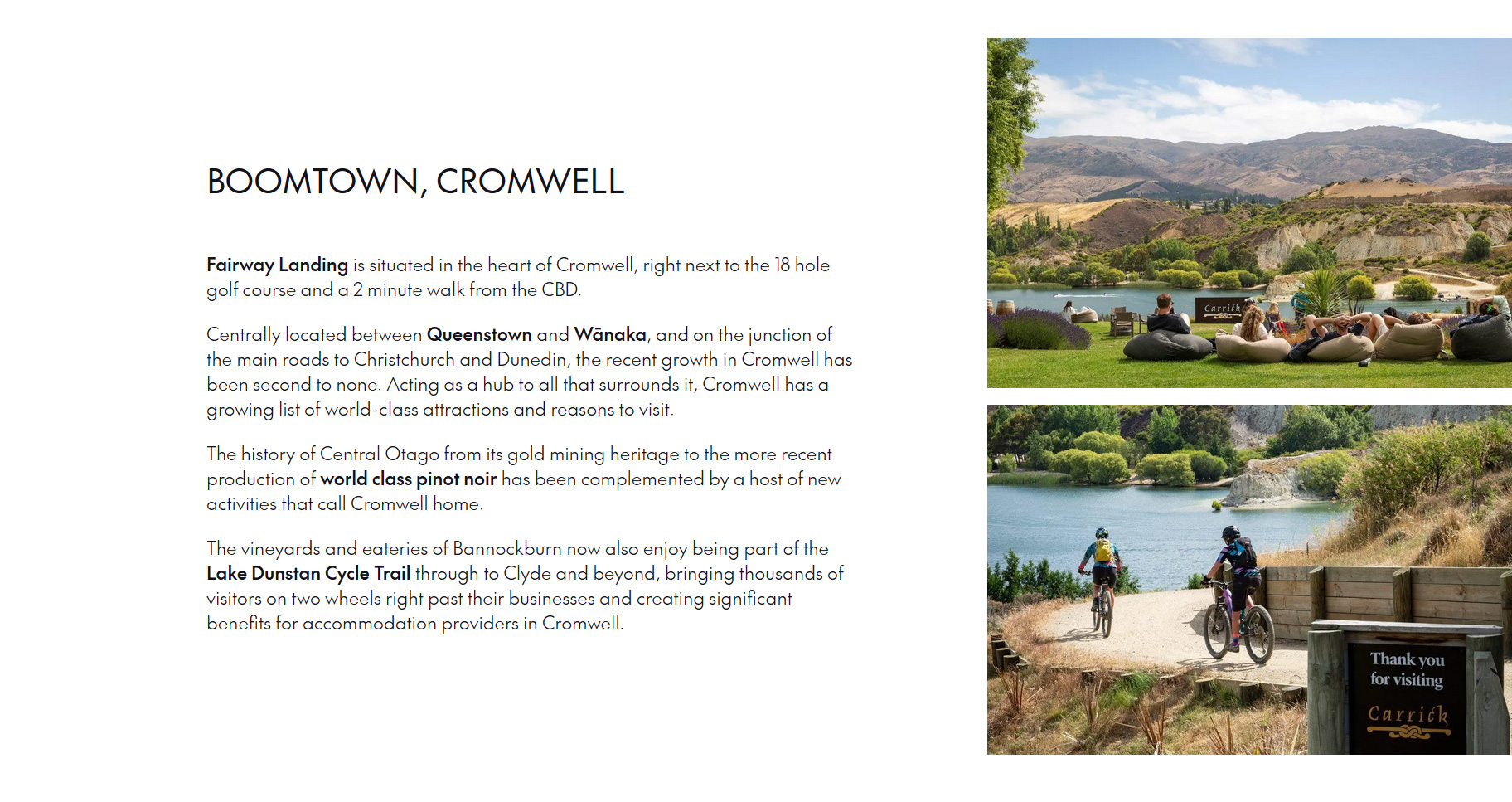 NZ housing developer - custom wordpress website design