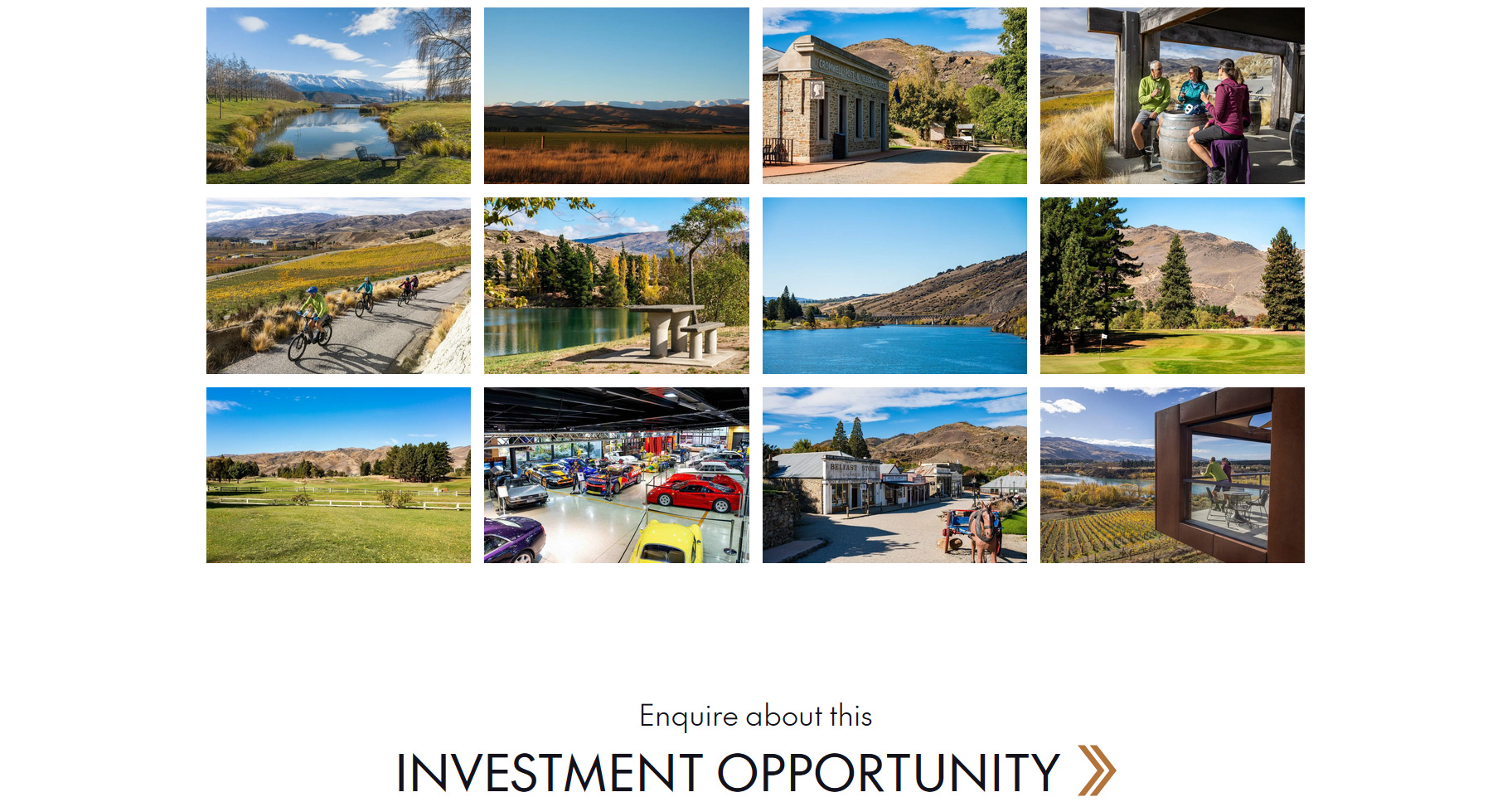 NZ housing developer - custom wordpress website design